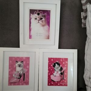 Framed Whimsical Kitten/Cat Photos set of 3